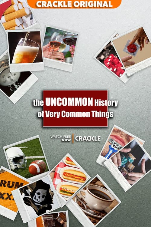The Uncommon History of Very Common Things Season 1 poster
