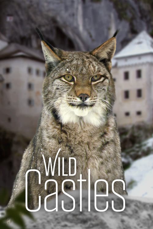 Wild Castles Season 1 poster