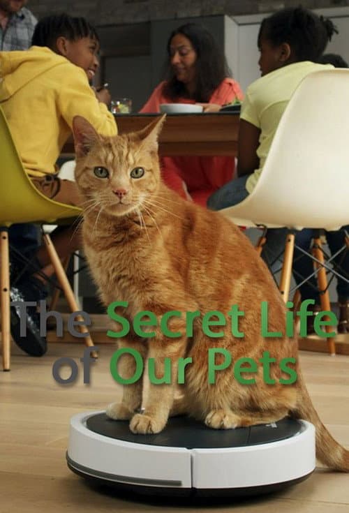 The Secret Life of Our Pets Season 1 poster