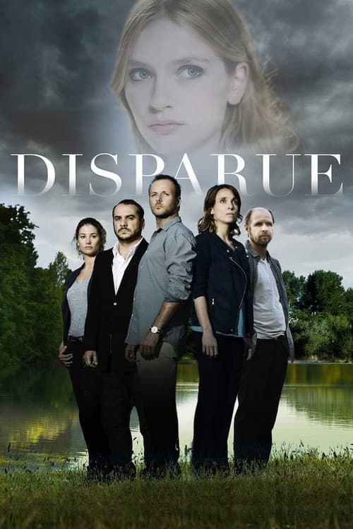 The Disappearance Miniseries poster