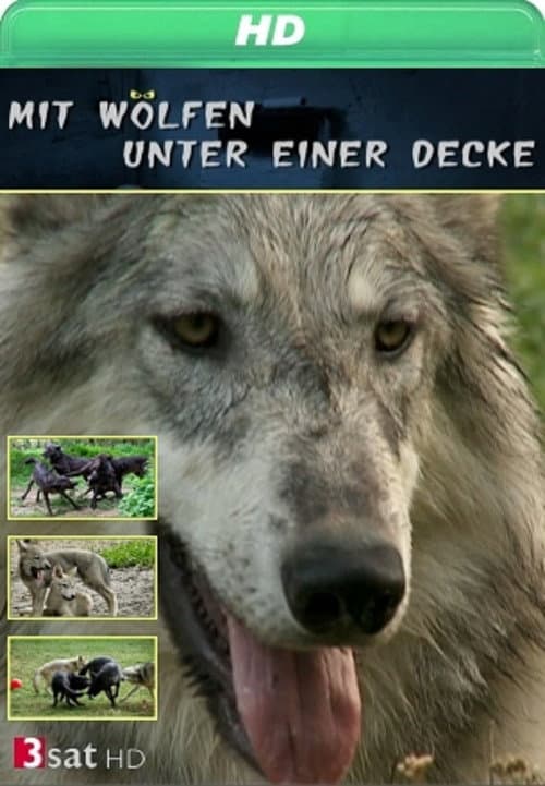 Mit Wölfen unter einer Decke Season 1 poster