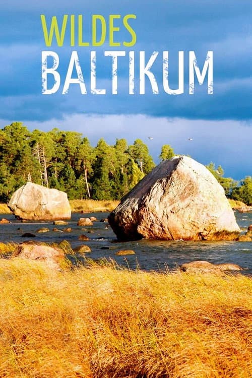 Wildes Baltikum Season 1 poster