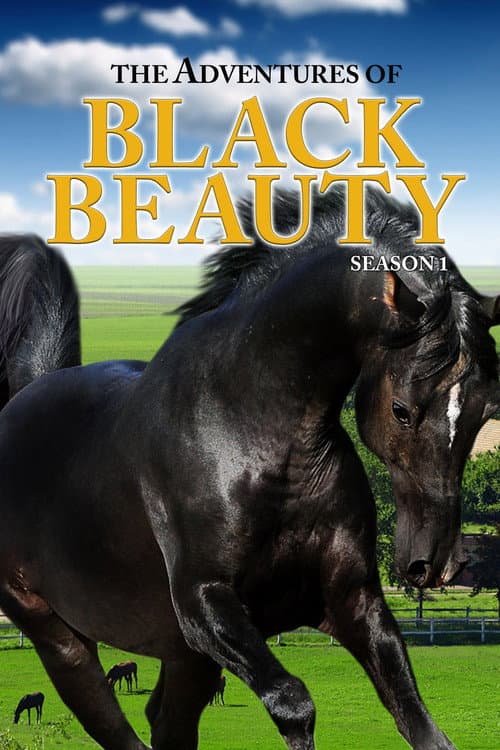 The Adventures of Black Beauty Series 1 poster