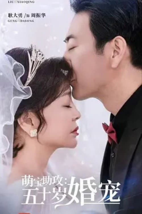 萌宝助攻：五十岁婚宠 Season 1 poster