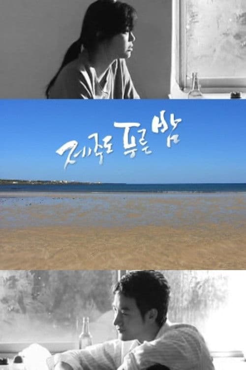 Drama City: Blue Skies of Jeju Island Season 1 poster