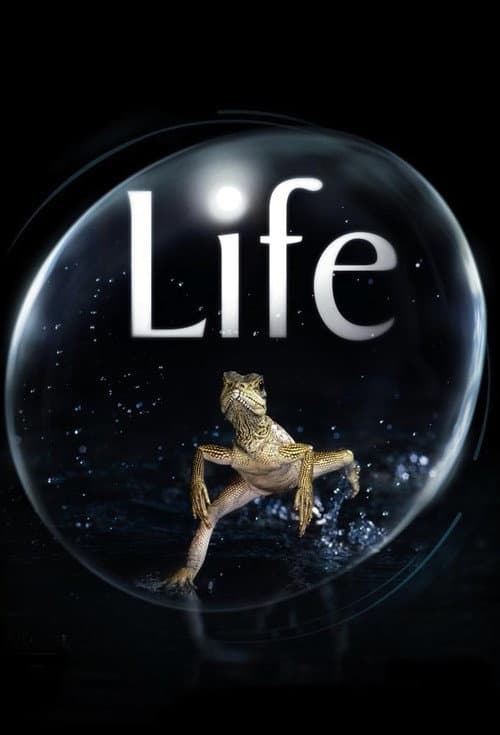 Life Season 1 poster