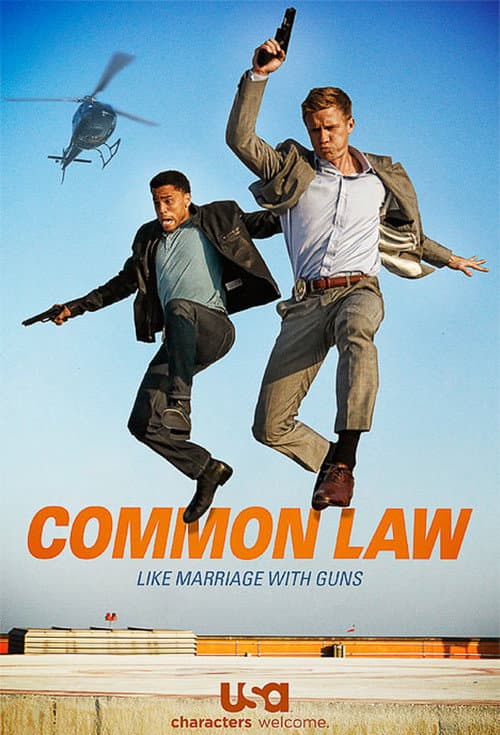 Common Law Season 1 poster