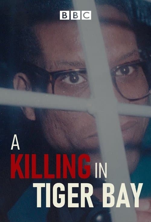 A Killing in Tiger Bay Season 1 poster