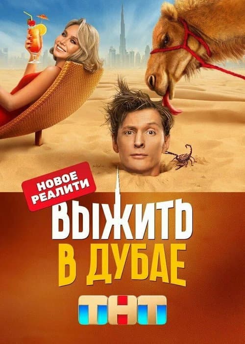 Survive in … Survive in Dubai poster