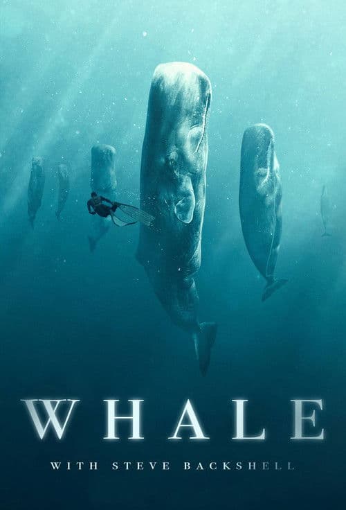 Whale with Steve Backshall Miniseries poster