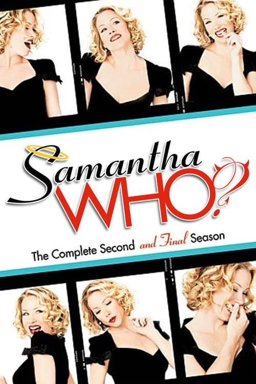Samantha Who? Season 2 poster
