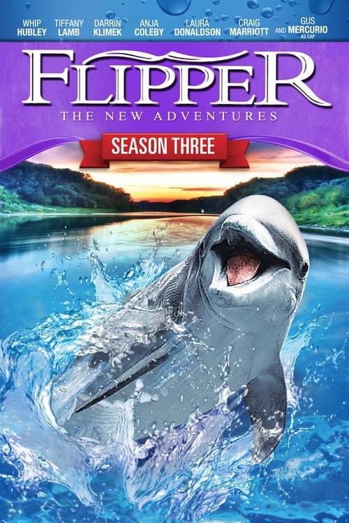 Flipper Season 3 poster