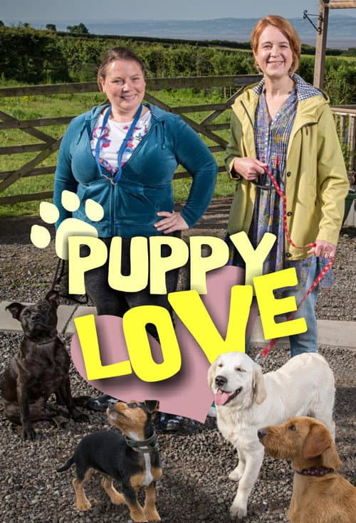 Puppy Love Series 1 poster