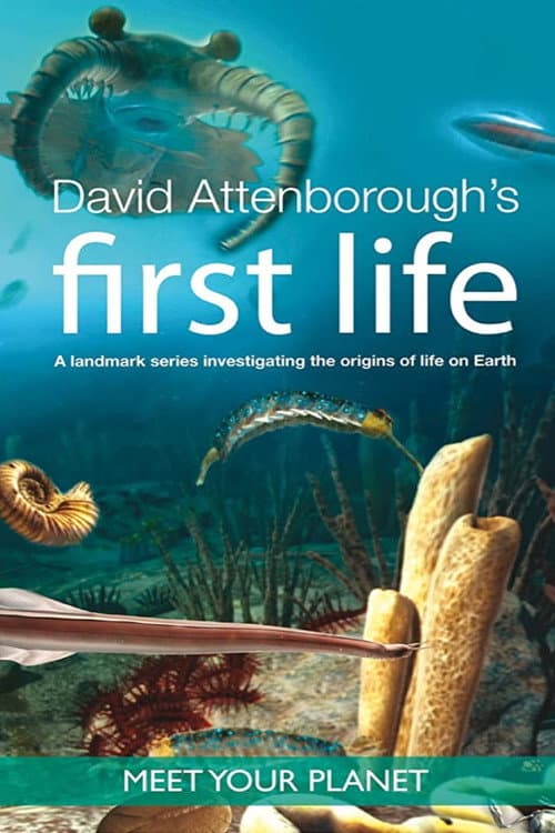 First Life Miniseries poster
