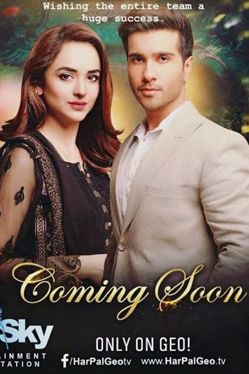 Dil Kiya Karay Season 1 poster