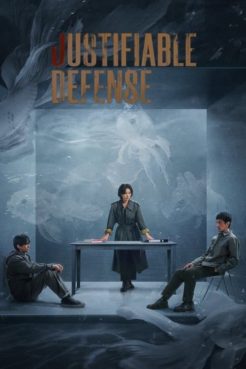 Justifiable Defense Season 1 poster