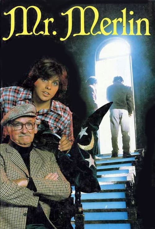 Mr. Merlin Season 1 poster