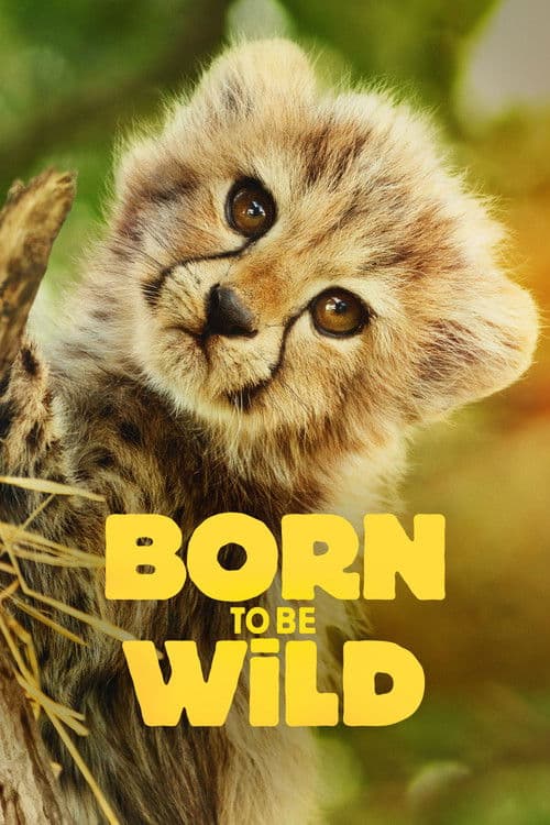 Born to Be Wild Season 1 poster