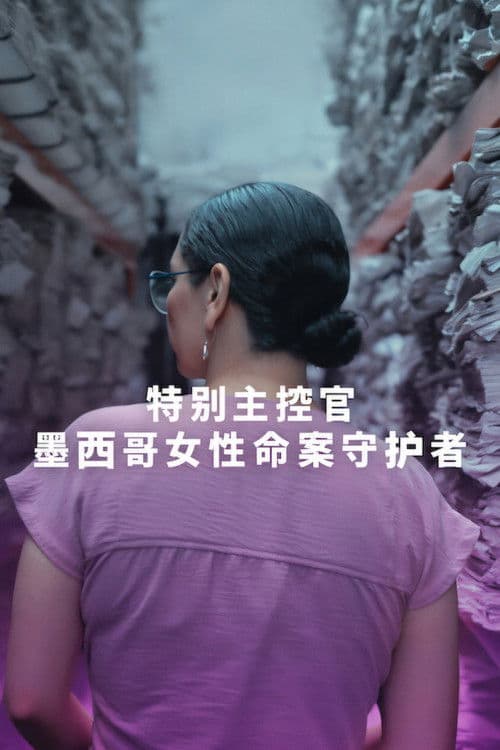The Prosecutor Limited Series poster