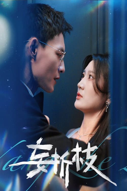 妄折枝 Season 1 poster