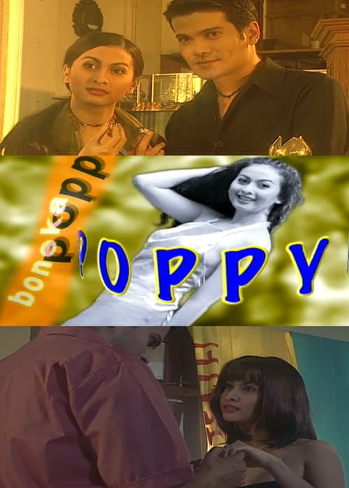 Poppy The Doll Season 1 poster
