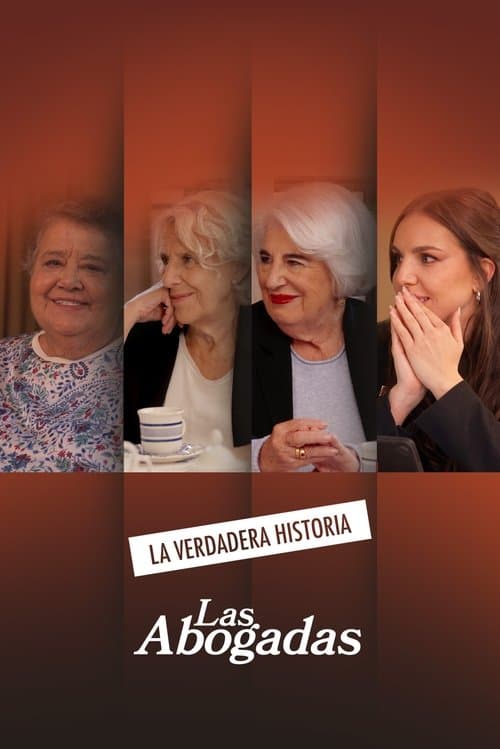 Las abogadas. La verdadera historia Season 1 poster