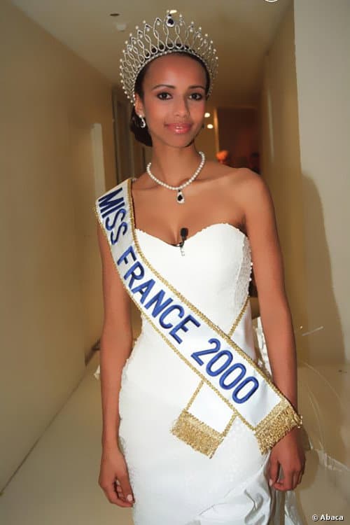Miss France Season 13 poster
