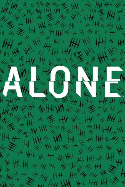 Alone Labrador poster
