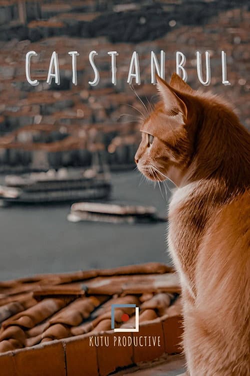 Catstanbul Season 1 poster