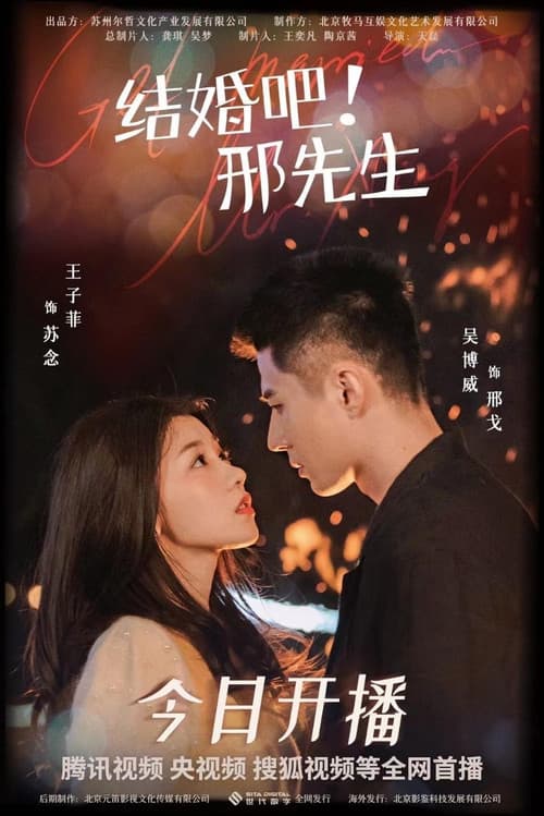 Marry Me, Mr.Xing Season 1 poster