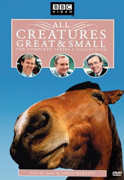 All Creatures Great and Small Season 5 poster