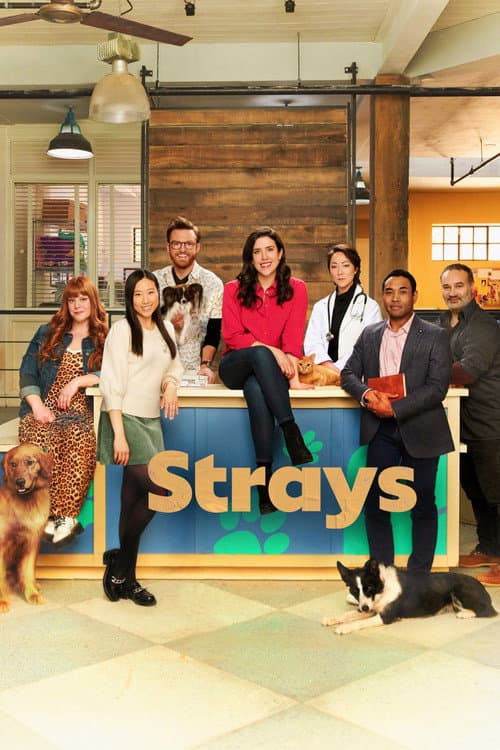 Strays Season 1 poster