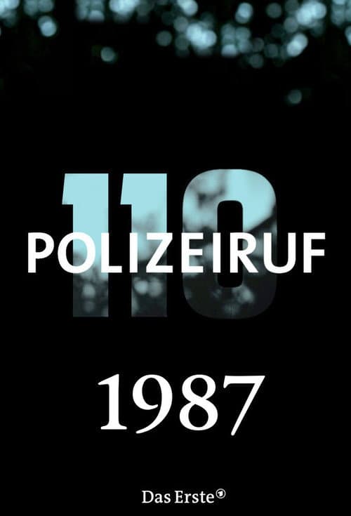 Polizeiruf 110 Season 17 poster