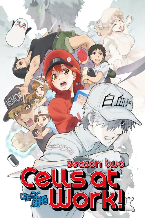 Cells at Work! Cells at Work!! poster