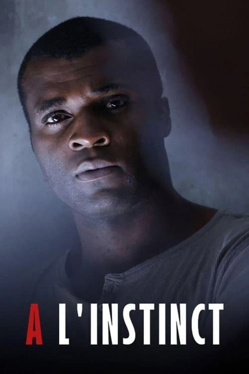 À l'instinct Season 1 poster