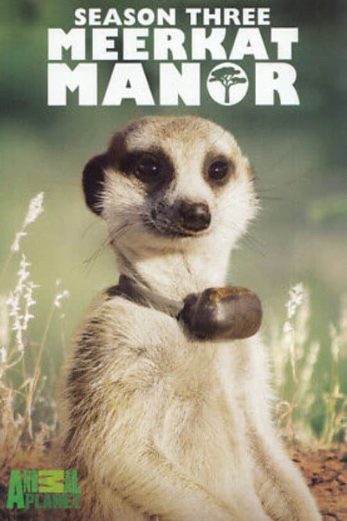 Meerkat Manor Season 3 poster