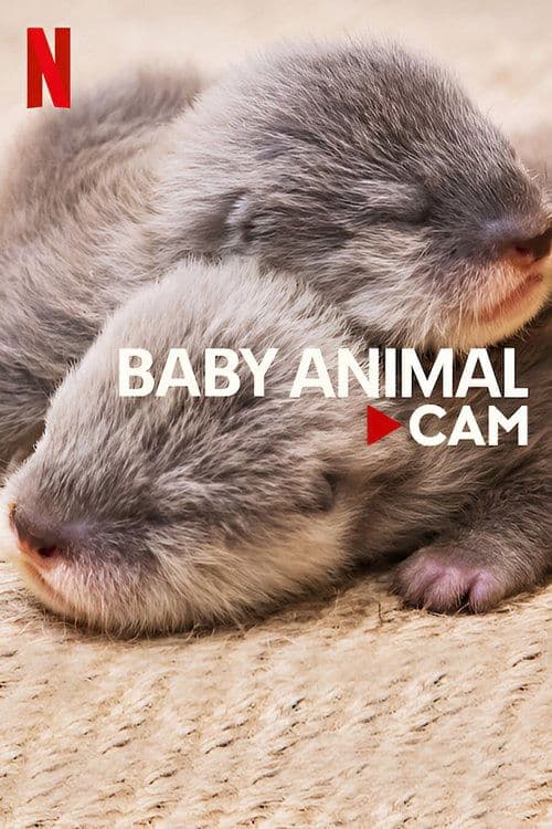Baby Animal Cam Season 1 poster