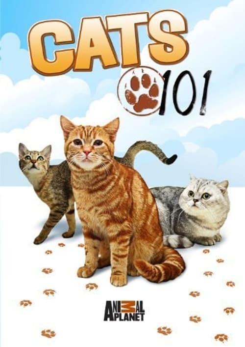 Cats 101 Season 2 poster