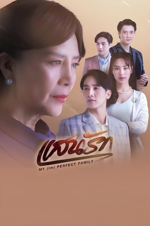 My (Im)Perfect Family Season 1 poster
