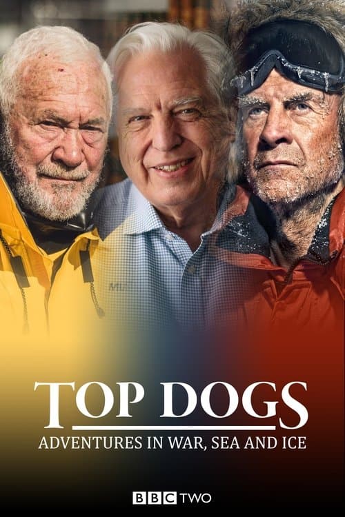 Top Dogs: Adventures in War, Sea and Ice Season 1 poster