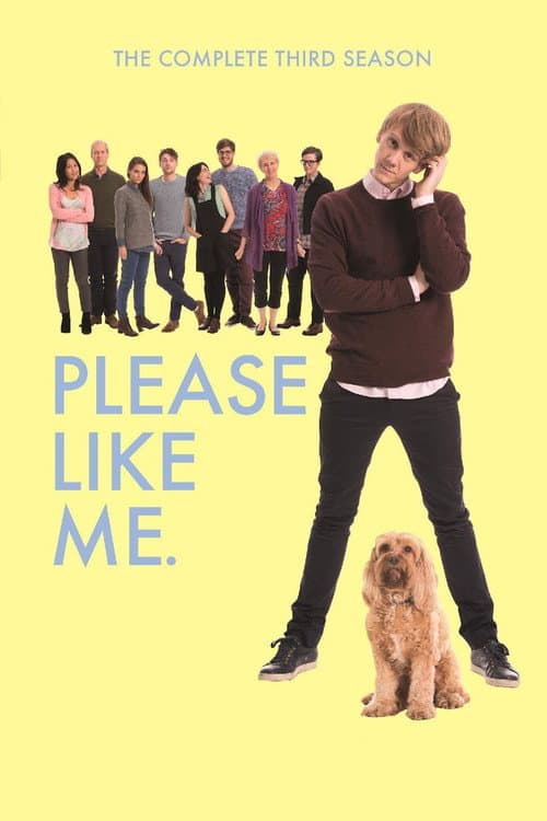 Please Like Me Season 3 poster