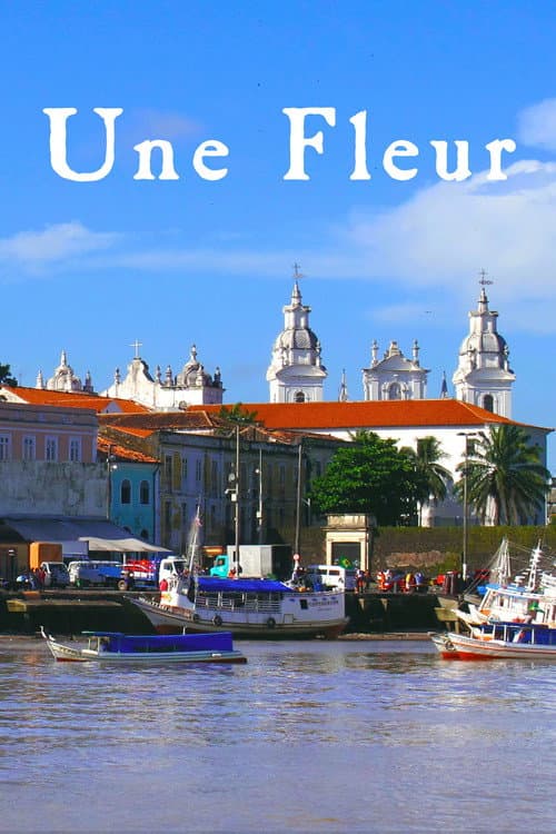 Une fleur dans le Pacifique Season 1 poster