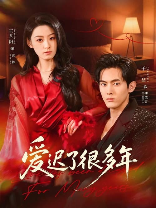 爱迟了很多年 Season 1 poster