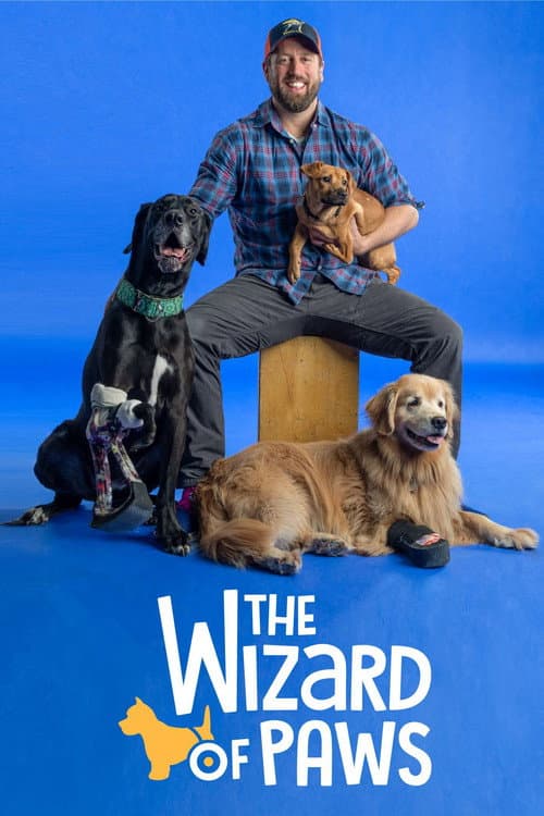 The Wizard of Paws Season 7 poster