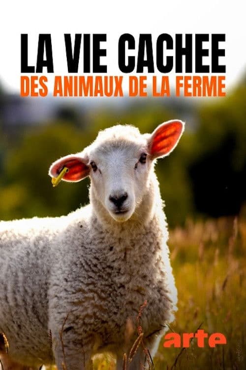 Wild Tales from the Farm Season 1 poster