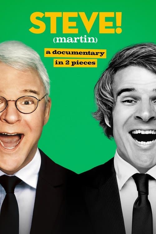 STEVE! (martin) a documentary in 2 pieces Season 1 poster