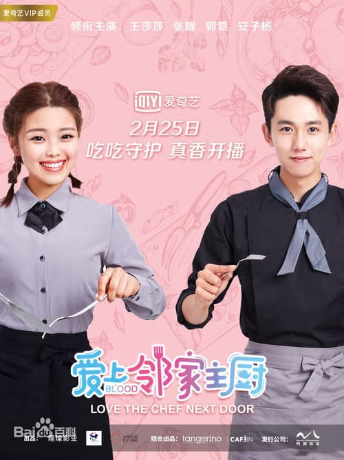 Love The Chef Next Door Season 1 poster
