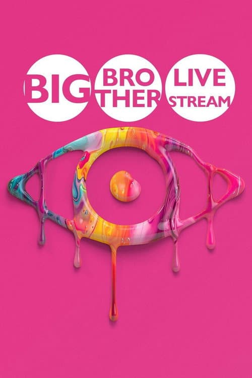 Big Brother: Live Stream 2024 poster
