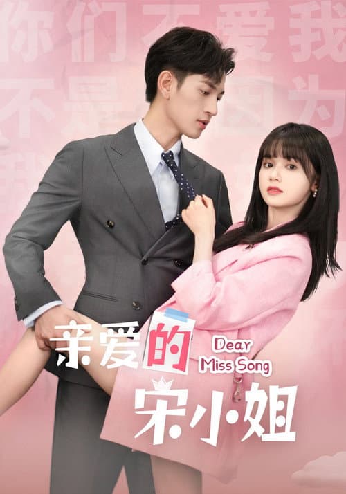 Dear Miss Song Season 1 poster
