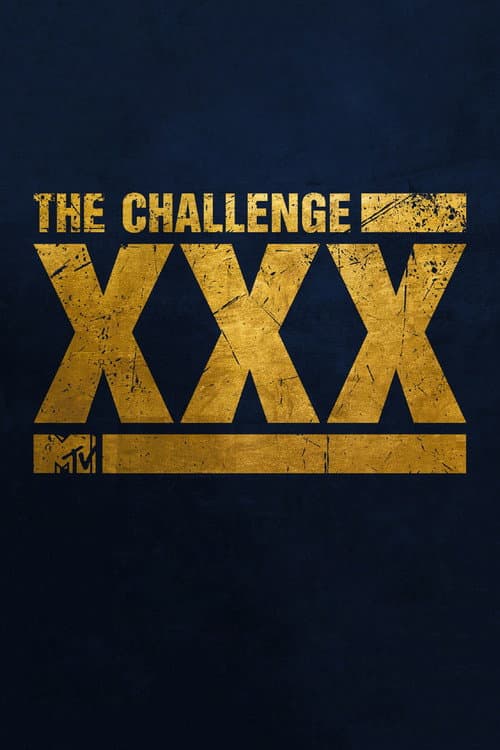The Challenge XXX: Dirty Thirty poster